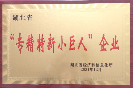 湖北省“專精特新小巨人”企業